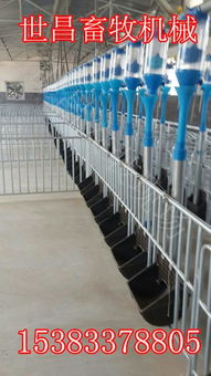 世昌養豬設備廠供應料線豬用自動料線,世昌養豬設備廠供應料線豬用自動料線生產廠家,世昌養豬設備廠供應料線豬用自動料線價格