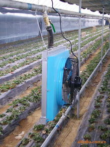 生產供應商廠家 今日行情價格走勢 報價 萬信養殖溫控設備制造廠