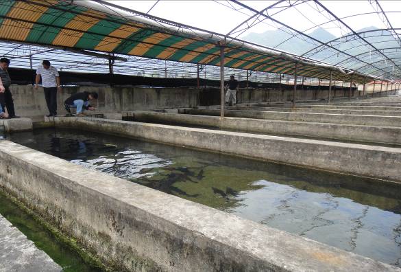 臺灣水產(chǎn)生物科技投資貴州銅仁市水產(chǎn)養(yǎng)殖項目達成合作意向