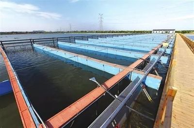 【專題研究】以水為魂、彰顯魅力 --以金湖“水漾年華”為例分析如何做好“水”主題園區(qū)