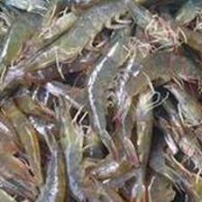 家水產(chǎn)養(yǎng)殖