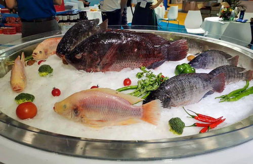 第六屆中國 廣州 國際漁業(yè)博覽會今日開幕