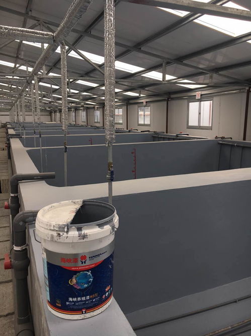 南美白對蝦養(yǎng)殖場刷涂水產(chǎn)漆的重要性