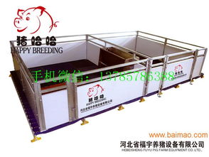 豬哈哈小豬保育欄高床育仔欄廠家直銷,豬哈哈小豬保育欄高床育仔欄廠家直銷生產(chǎn)廠家,豬哈哈小豬保育欄高床育仔欄廠家直銷價格