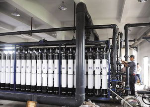 污水處理后可養(yǎng)魚 浙江溫嶺污水處理提標工程見成效