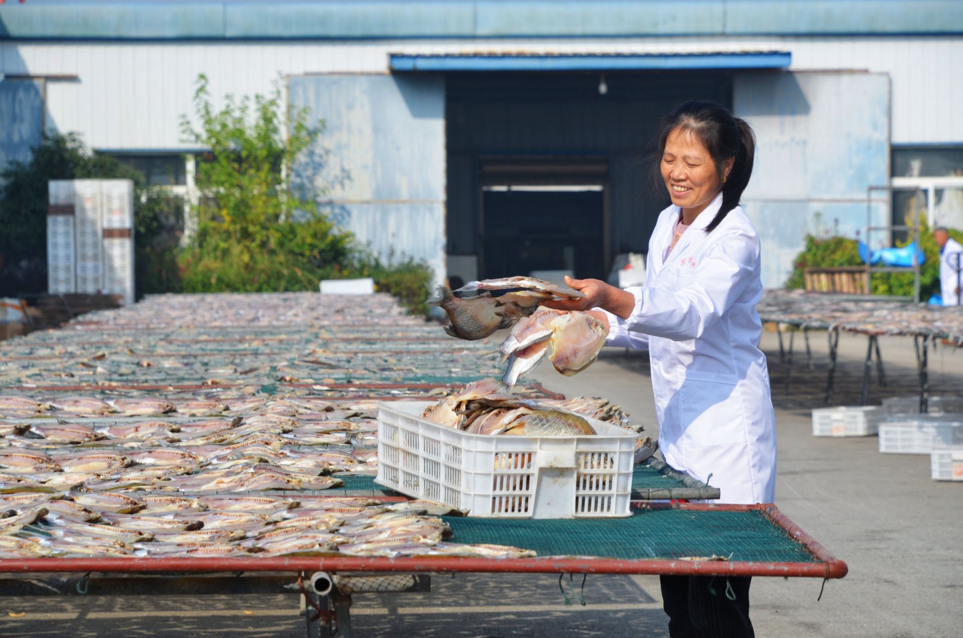 產業聯建提升"造血"功能——梧州盤活村級集體經濟見聞-八桂先鋒網-文