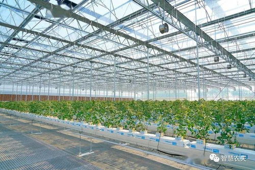 我國第一部現代設施農業建設規劃出臺,到2030年將實現多個目標