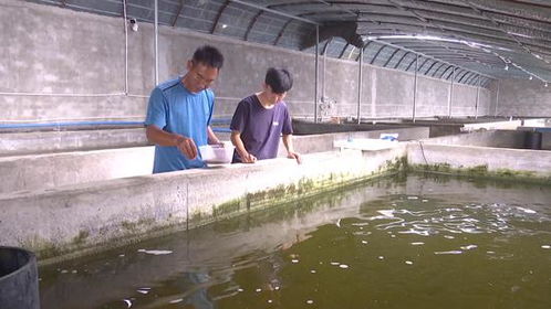 實現水產養殖西移 助力麥蓋提產業多元化發展