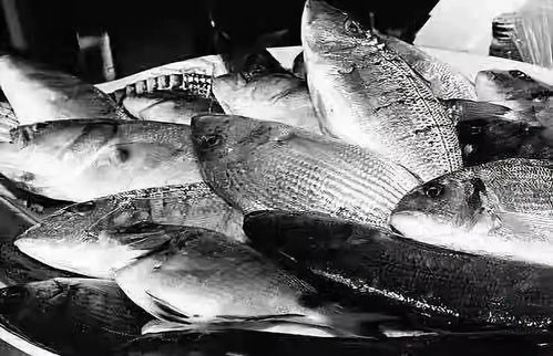 仙居 70年 滄桑巨變七十年 農業農村大發展