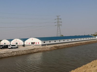 黨建引領,靶向施策,產業扶貧“見真章”