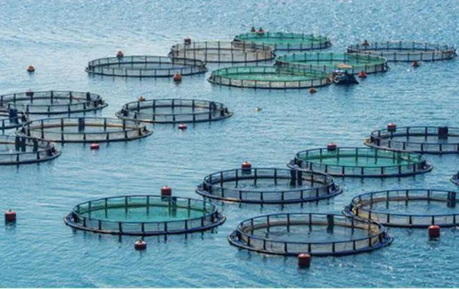 預制菜產業,這一省將領跑全國?