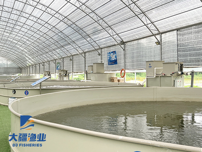 智慧漁業讓水產養殖更智能,拿著手機也能養魚