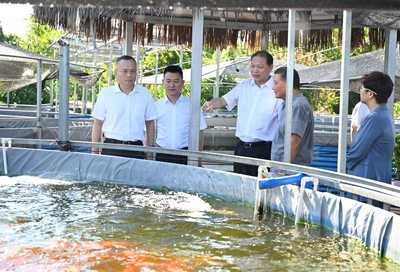 范少軍調研糧食和重要農產品生產工作