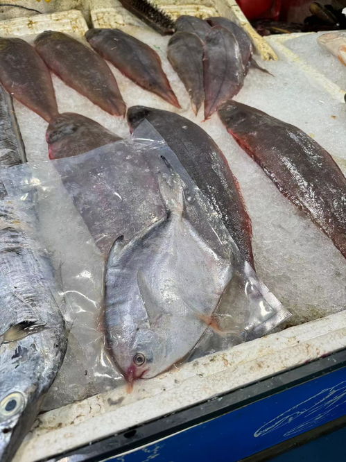 休漁期,溫州人的 海鮮自由 受影響嗎