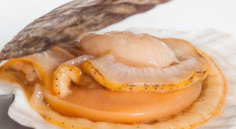 廈門人必須得學會的海鮮挑選方法,有了它選海鮮再也不為難