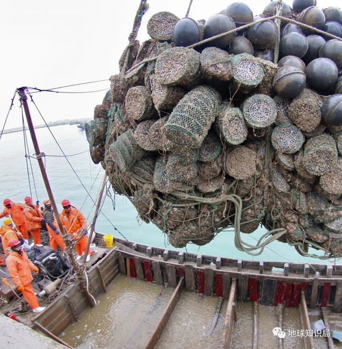 漲知識(shí) 沿海人民是如何喂飽中國(guó)的