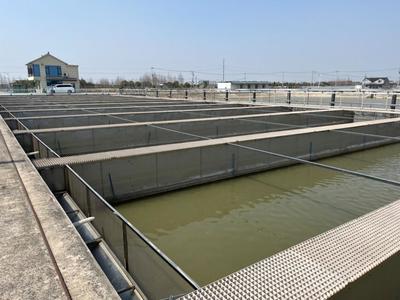 生態(tài)所水環(huán)境治理團(tuán)隊(duì)赴上海奉賢區(qū)水產(chǎn)養(yǎng)殖合作社對(duì)接交流