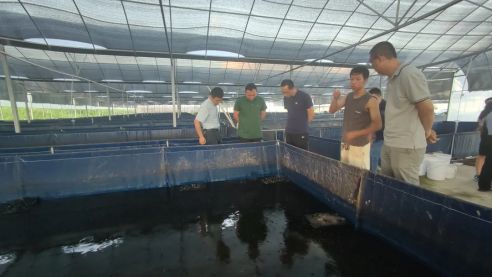 引發(fā)全行業(yè)圍觀 這里100 循環(huán)水養(yǎng)出的蛙究竟有何奧秘