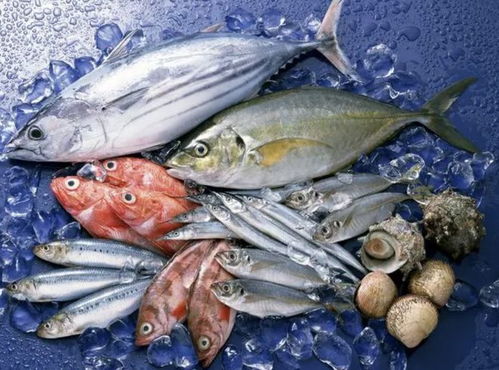 市場(chǎng)監(jiān)管總局加大水產(chǎn)品食品安全監(jiān)管及食鹽價(jià)格監(jiān)管力度 每日金聞