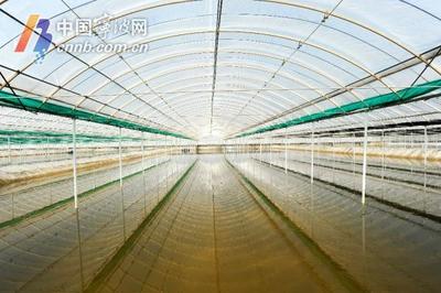 象山成功創(chuàng)建全市首個(gè)國(guó)家級(jí)漁業(yè)健康養(yǎng)殖示范縣