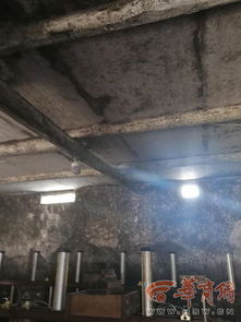 商洛廢棄養(yǎng)豬廠藏黑作坊 每天生產(chǎn)500多斤豆腐被取締