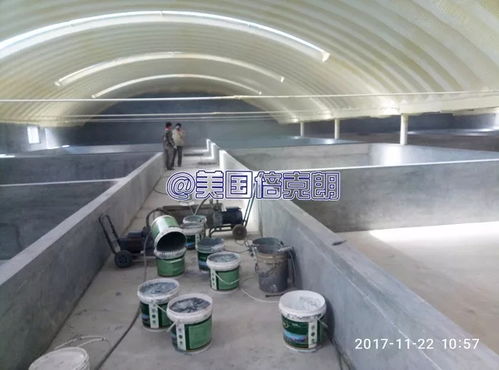 美國(guó)倍克朗聯(lián)手滄州規(guī)模最大水產(chǎn)公司 鑫海水產(chǎn)打造養(yǎng)殖漆示范基地