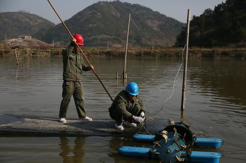 浙江三門(mén)蛇蟠島電力之變 保障養(yǎng)殖水產(chǎn)品增收致富