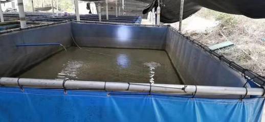 環(huán)保養(yǎng)殖帆布水池,水產(chǎn)養(yǎng)殖帆布水池