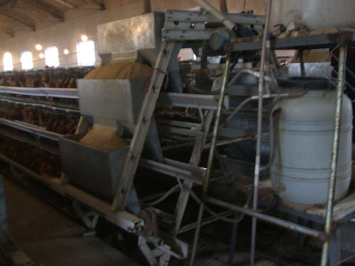 日照養雞設備 煜鑫畜牧 已認證 養雞設備