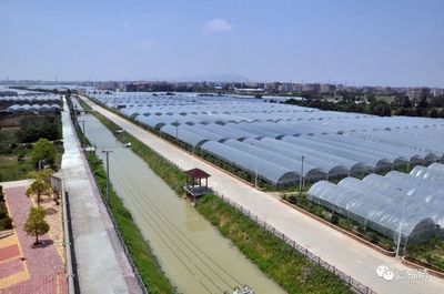 托起滿滿幸福感!福清農業發展走出新路子