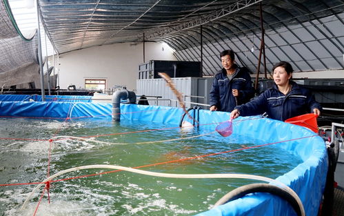臨澤縣人民政府 臨澤 著力夯實產業基礎 增強縣域經濟發展后勁