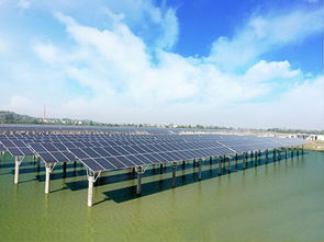 漁光一體 引領全球清潔能源與水產養殖的綠色產業革命