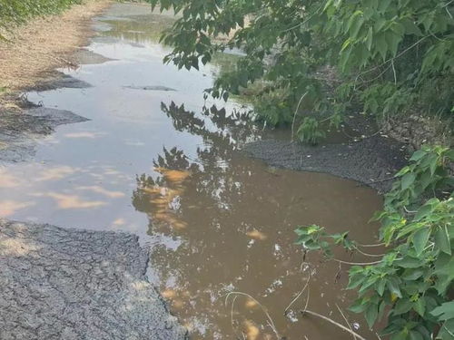 如東某生豬養殖場因違規水產品養殖被罰20000元