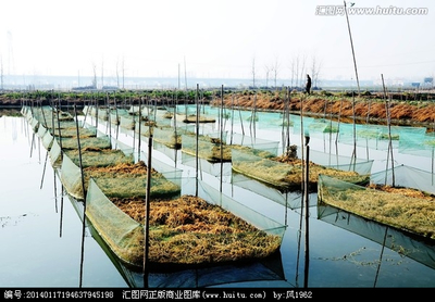 網箱養魚 現代水產品養殖的高效之路