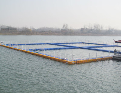 安慶網箱養殖 水產品養殖的創新之路