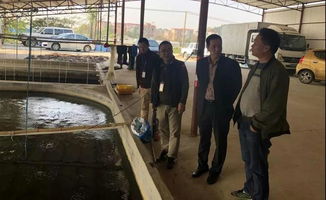 綠色科技引領未來 南海區水產品養殖產業發展探析