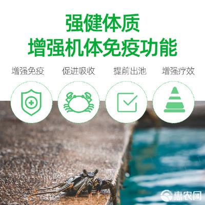 蟹滿多 水產養殖肥料的創新選擇