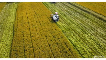 湖州美味躍上杭州餐桌 千張包、紅燒湖羊與太湖蟹肉的傳承與創新